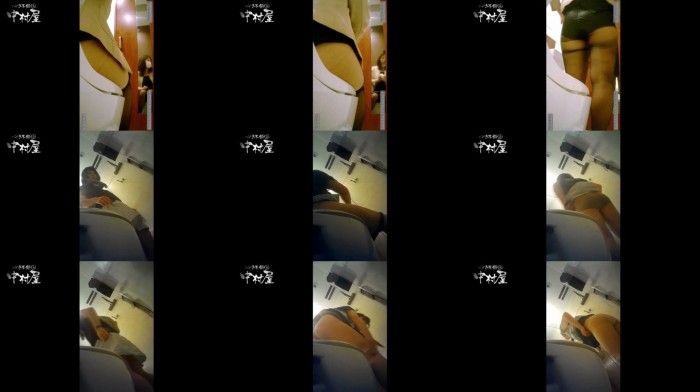 高画質トイレ盗撮vol.11-15