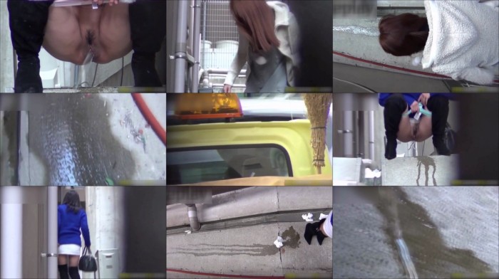 洗面所盗撮～隣の美人お姉さんVol.08 Peepfox dpso008_01