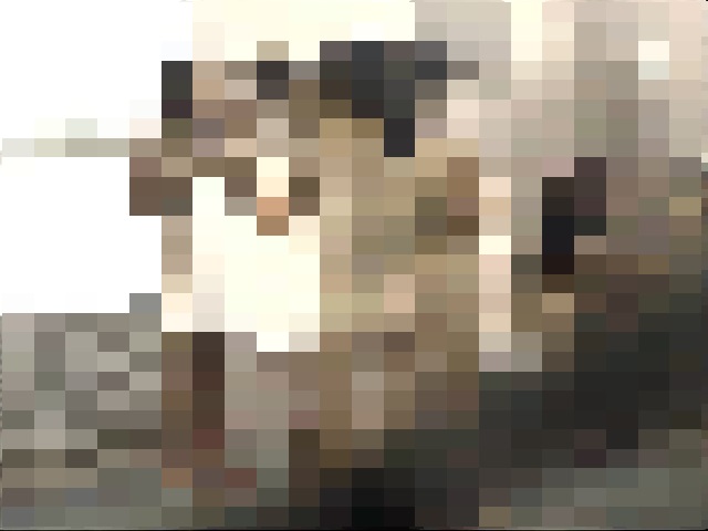 エース30人風呂 part1