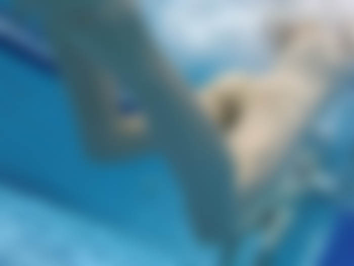 プールの盗撮風 女の子の水中下半身事情