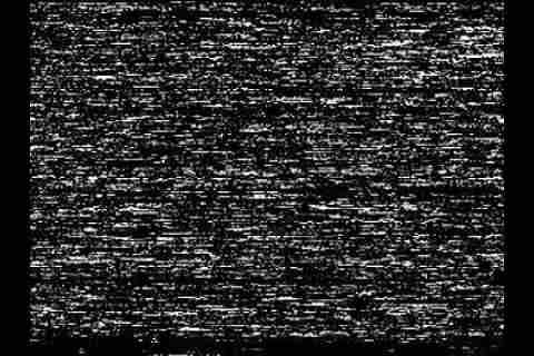 【限定】中 ● 生 健康診断