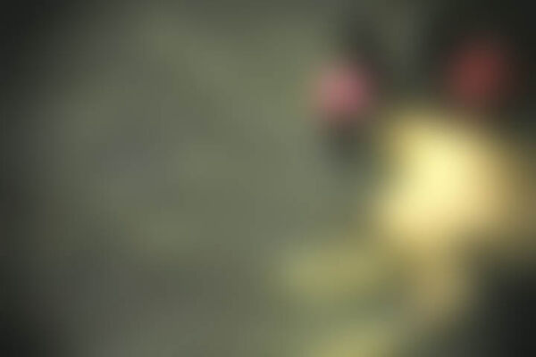 【密着】激カワ女子の露天入浴