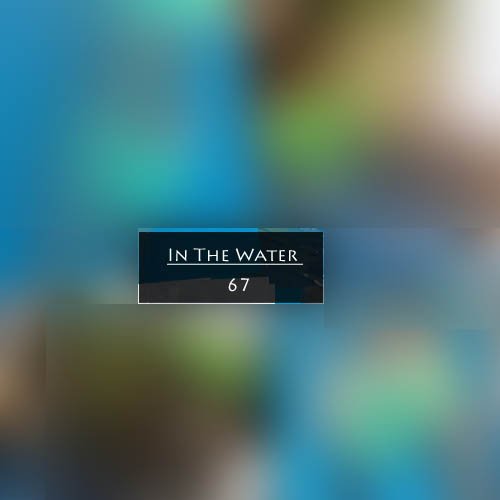 In The Water 67
