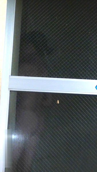 可愛い2人組の入浴1