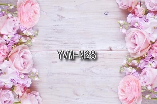 YVM-N28